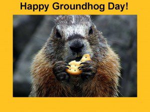 groundhogs