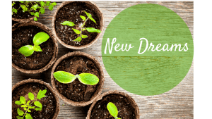 New Dreams